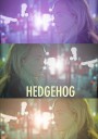 刺猬/Hedgehog