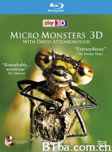 微型猛兽世界之旅 Micro Monsters 3D (2013) 1080P BT磁力 迅雷网盘下载