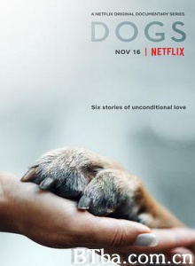 爱犬情深 挚狗伴我行(台) 犬无二心(港) 第一季 Dogs Season 1 (2018) 1080P BT磁力 迅雷网盘下载
