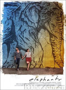 熟视无睹 Elephants (2018) 1080P/720P BT磁力 迅雷网盘下载
