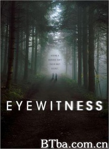 目击证人 目击者 Eyewitness (2016) 1080P BT磁力 迅雷网盘下载