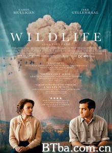 狂野生活/Wildlife-720p|1080p高清bt种子下载