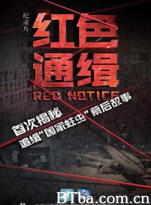 红色通缉 Red Notice (2019) 1080P BT磁力 迅雷网盘下载-影音屋