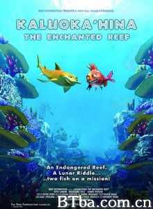魔法水世界 魔力珊瑚礁 Kaluokahina: The Enchanted Reef (2004) 1080P BT磁力 迅雷网盘下载