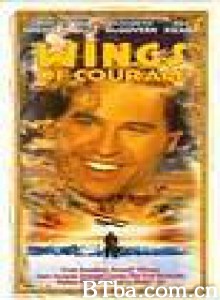 勇气之翼 Wings of Courage (1995) 1080P BT磁力 迅雷网盘下载