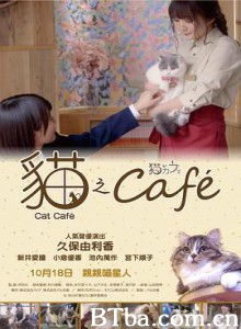 猫咪咖啡厅 猫カフェ (2018) 1080P/720P BT磁力 迅雷网盘下载