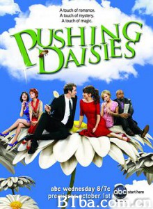 灵指神探 冥侦探艾艾 第一季  Pushing Daisies Season 1 (2007) 1080P BT磁力 迅雷网盘下载