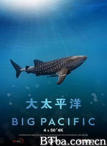 大太平洋 (2017) 1080P/4K BT磁力 迅雷网盘下载
