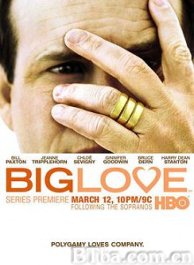 大爱 第一季 Big Love Season 1 (2006) 1080P/WEB-DL BT磁力 迅雷网盘下载