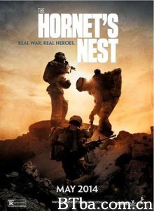 蜂巢 捅爆马蜂窝（台） s Nest (2014) 1080P BT磁力 迅雷网盘下载