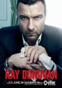 清道夫 第一季/Ray Donovan Season 1