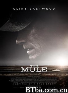 骡子 毒行侠(港) 赌命运转手(台) The Mule (2018) 1080P/4K 高清免费观看 BT磁力 迅雷网盘下载
