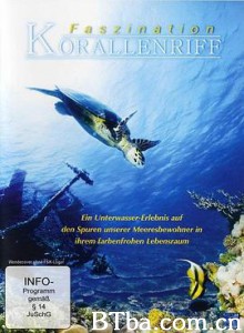 珊瑚礁 Coral Reef 3D: Magic of the Indo Pacific (2013) 1080P BT磁力 迅雷网盘下载-影音屋