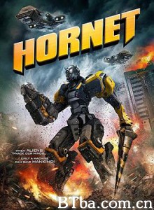 山寨大黄蜂 Hornet (2018) 1080P BT磁力 迅雷网盘下载