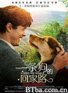 一条狗的回家路 A Dog's Way Home (2019) 1080P/720P BT磁力 迅雷网盘下载
