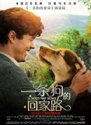 一条狗的回家路/A Dog's Way Home