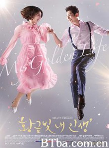我黄金光辉的人生 황금빛 내 인생 (2017)  BT磁力 迅雷网盘下载