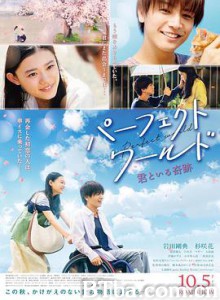 完美世界 パーフェクトワールド 君といる奇跡 (2018) 1080P/720P BT磁力 迅雷网盘下载