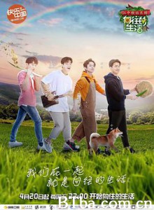 向往的生活 第二季 (2018) BT磁力 迅雷网盘下载-影音屋
