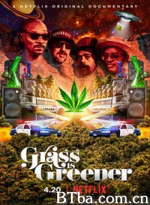 印度妙草 谁家绿草：大麻黑史（台） 大麻草更绿（港） Grass is Greener (2019) 1080P/720P BT磁力 迅雷网盘下载