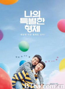 我的一级兄弟 完美搭档(台) 我的特别兄弟 나의 특별한 형제 (2019) 1080P/720P BT磁力 迅雷网盘下载