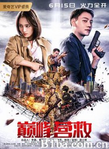 巅峰营救 (2019) 1080P BT磁力 迅雷网盘下载