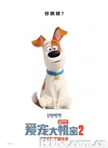 爱宠大机密2/The Secret Life of Pets 2