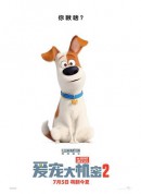 爱宠大机密2/The Secret Life of Pets 2