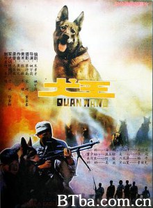 犬王 Dog King (1993) 1080P BT磁力 迅雷网盘下载