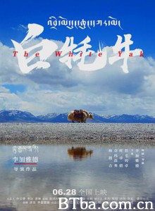 白牦牛 The White Yak (2019) 1080P BT磁力 迅雷网盘下载