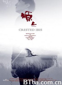 塬上 Crested Ibis Хохлатый ибис (2017) 1080P BT磁力 迅雷网盘下载