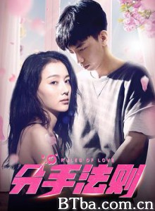分手法则-720p|1080p高清bt种子下载