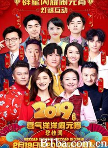 2019年中央广播电视总台元宵晚会 2019年中央电视台元宵晚会 2019年央视元宵晚会 (2019) 1080P BT磁力 迅雷网盘下载