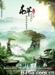 本草中国 第二季 (2019) 1080P BT磁力 迅雷网盘下载-影音屋