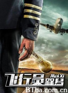 飞行员呆呆鸟-720p|1080p高清bt种子下载