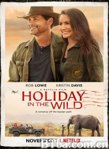 野外圣诞节 Holiday in the Wild (2019) 1080P/720P BT磁力 迅雷网盘下载