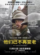他们已不再变老/他们不再老去(台)/不老的战迹(港)/They Shall Not Grow Old