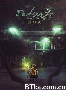 迷途之人 迷い人 Stray (2018)  BT磁力 迅雷网盘下载