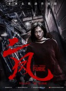 二凤/怒拳妈妈(港)/怒火(台)/Hai Phượng