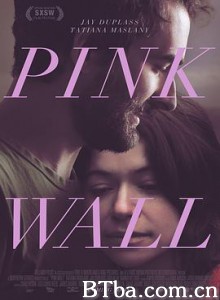 迷粉爱墙 Pink Wall (2019) 1080P/720P BT磁力 迅雷网盘下载