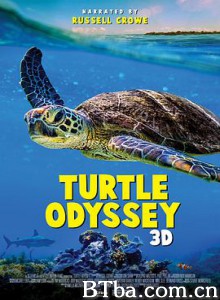 Turtle Odyssey (2018) 4K BT磁力 迅雷网盘下载