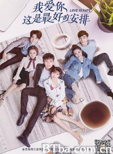 我爱你，这是最好的安排 (2019) 1080P BT磁力 迅雷网盘下载