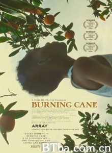 燃烧的甘蔗 Burning Cane (2019) 1080P/720P BT磁力 迅雷网盘下载