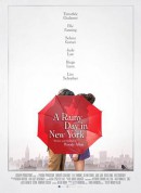 纽约的一个雨天/情迷纽约下雨天(港)/纽约有雨/A Rainy Day in New York