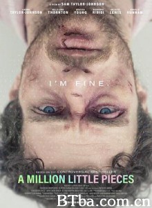 百万碎片 A Million Little Pieces (2018) 1080P/720P BT磁力 迅雷网盘下载