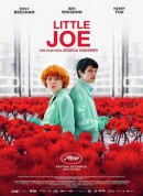 小小乔/Little Joe