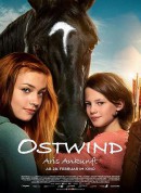 骏马奥斯温4/Ostwind - Aris Ankunft