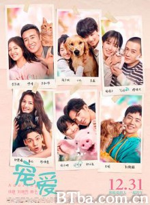 宠爱 Adoring (2019) 1080P BT磁力 迅雷网盘下载