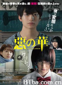 恶之华 惡の華 (2019) 1080P/720P BT磁力 迅雷网盘下载