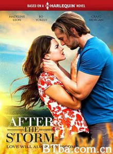雨过天晴 After the Storm (2019) 1080P BT磁力 迅雷网盘下载